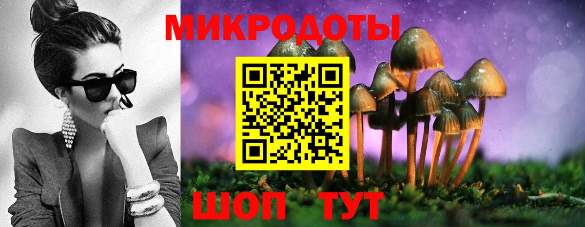 Галлюциногенные грибы Magic Shrooms  Вход с VPN  Северобайкальск 