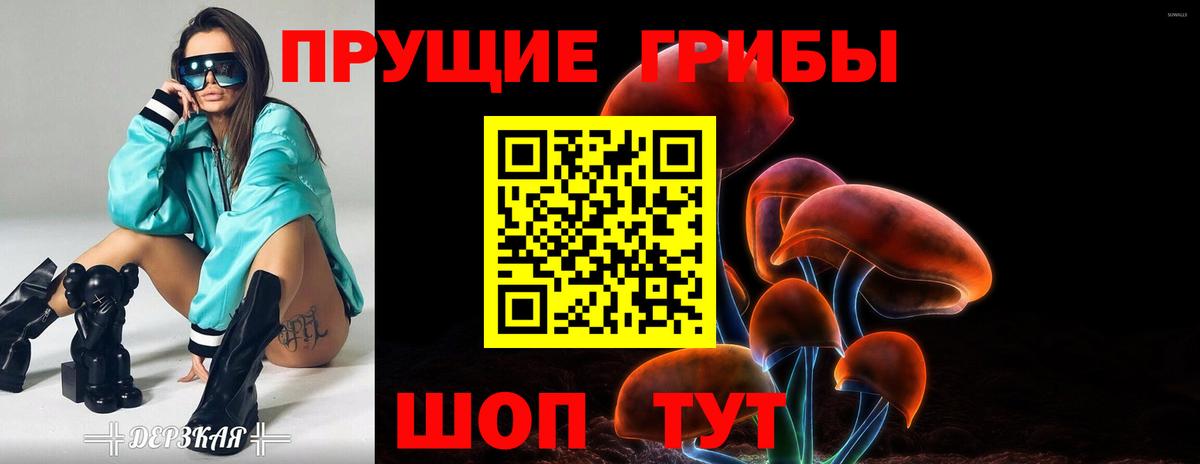 Псилоцибиновые грибы прущие грибы Северобайкальск
